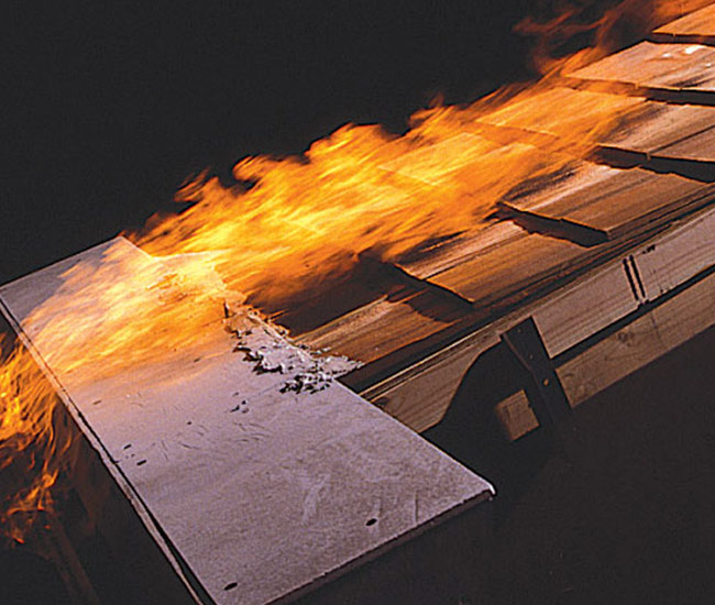 BurningShake.jpg