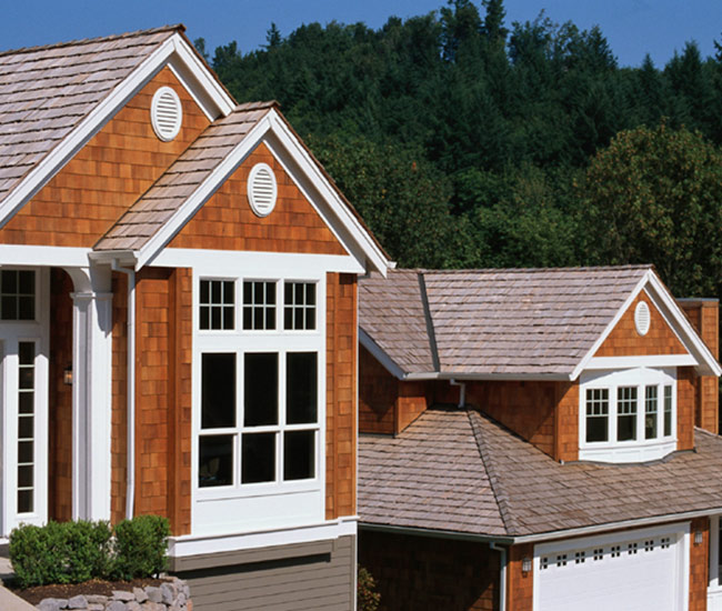 ShakesShingles.jpg